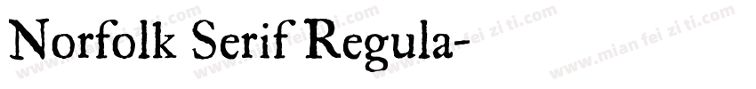 Norfolk Serif Regula字体转换